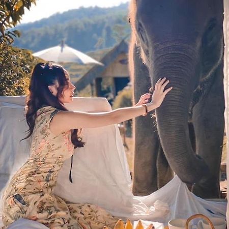 3 Pok Maewang Jinxiang Gold Elephant Park Mae Wang Ngoại thất bức ảnh