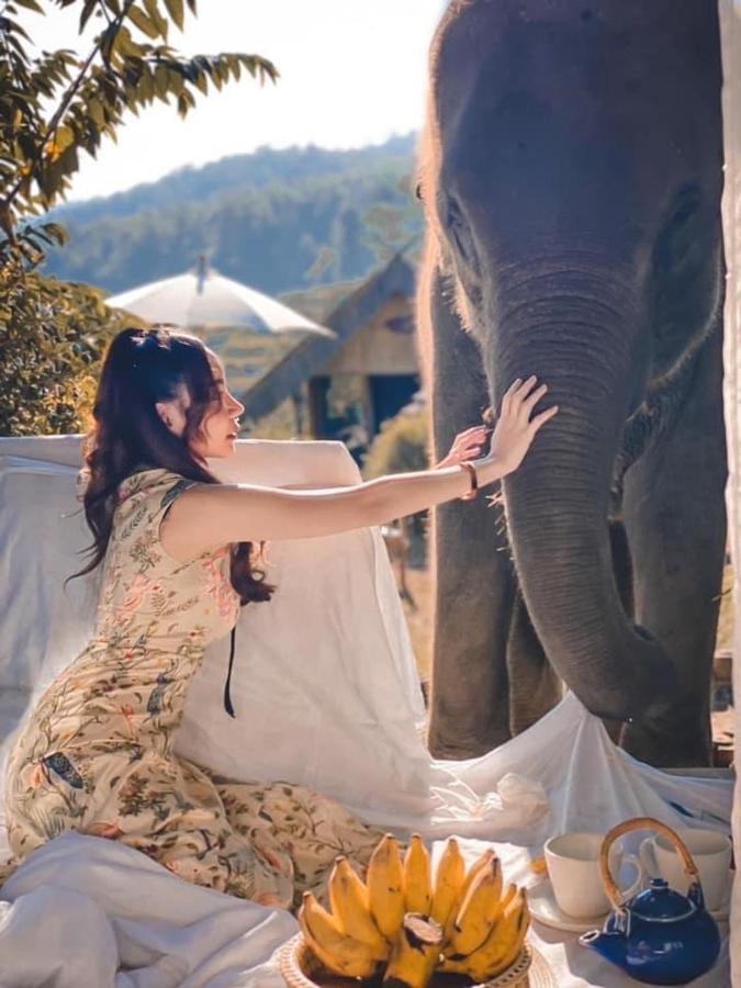 3 Pok Maewang Jinxiang Gold Elephant Park Mae Wang Ngoại thất bức ảnh