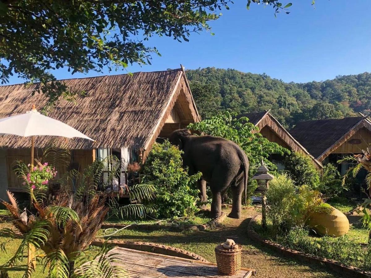 3 Pok Maewang Jinxiang Gold Elephant Park Mae Wang Ngoại thất bức ảnh