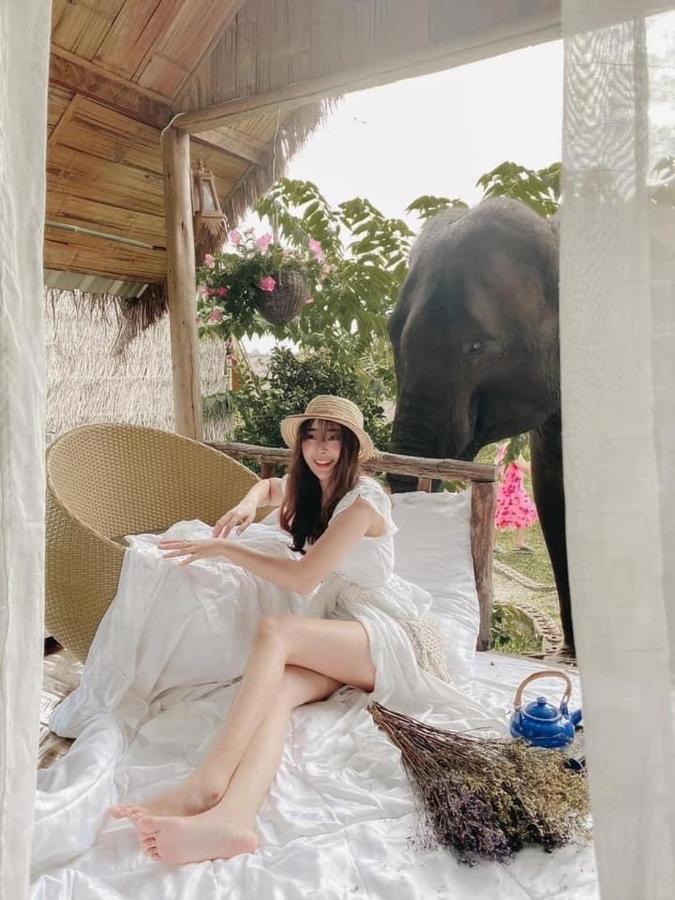 3 Pok Maewang Jinxiang Gold Elephant Park Mae Wang Ngoại thất bức ảnh