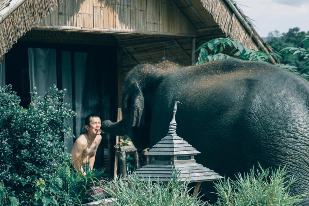 3 Pok Maewang Jinxiang Gold Elephant Park Mae Wang Ngoại thất bức ảnh