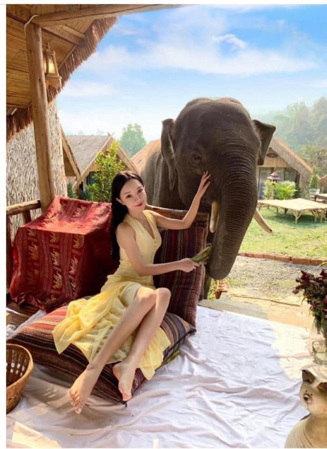 3 Pok Maewang Jinxiang Gold Elephant Park Mae Wang Ngoại thất bức ảnh