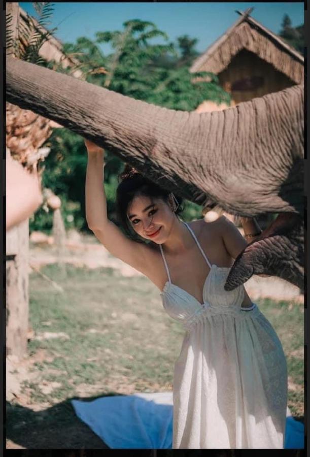 3 Pok Maewang Jinxiang Gold Elephant Park Mae Wang Ngoại thất bức ảnh