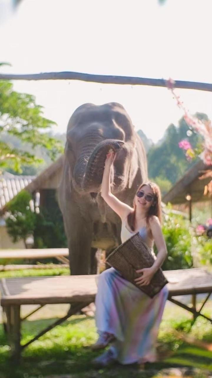 3 Pok Maewang Jinxiang Gold Elephant Park Mae Wang Ngoại thất bức ảnh