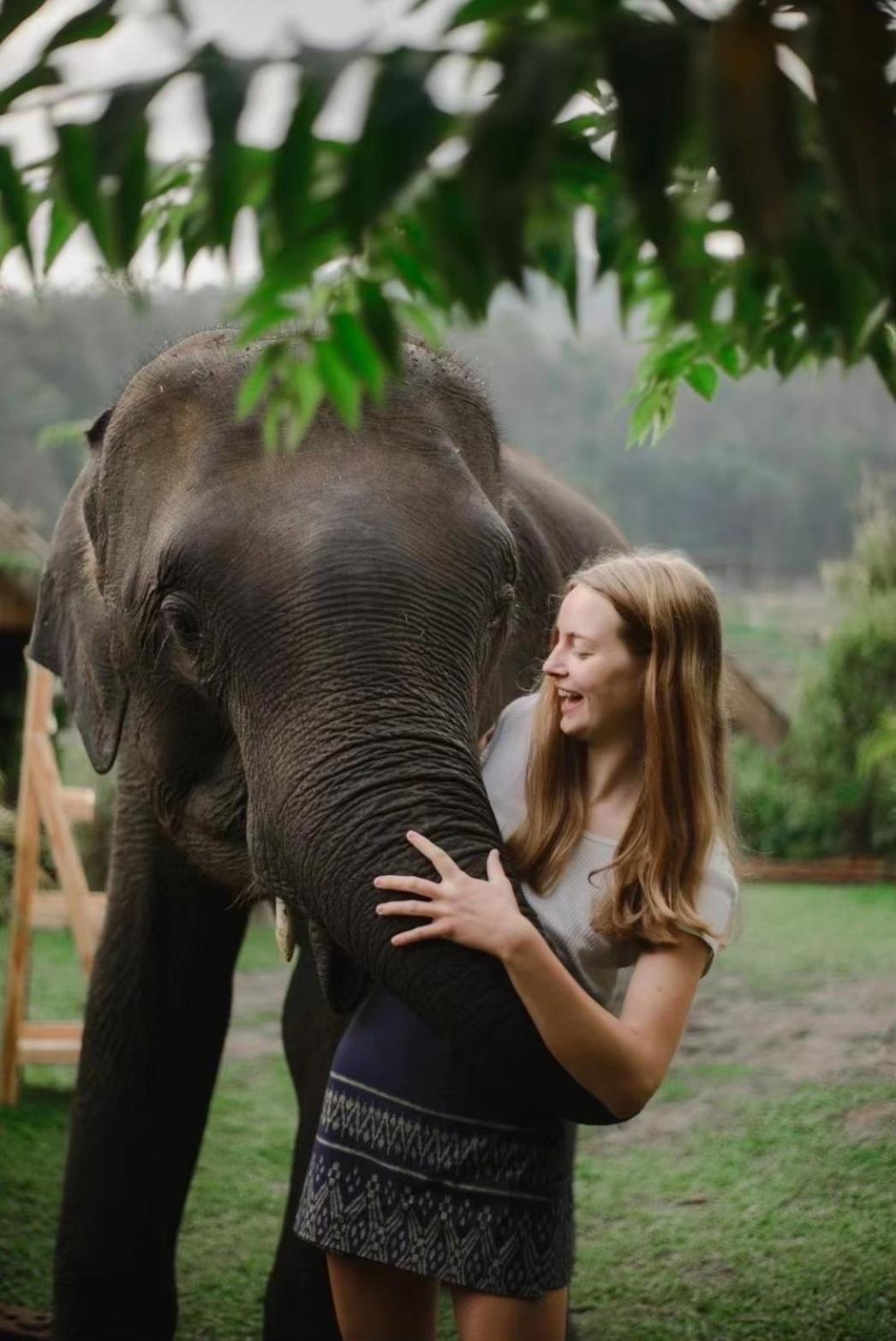 3 Pok Maewang Jinxiang Gold Elephant Park Mae Wang Ngoại thất bức ảnh