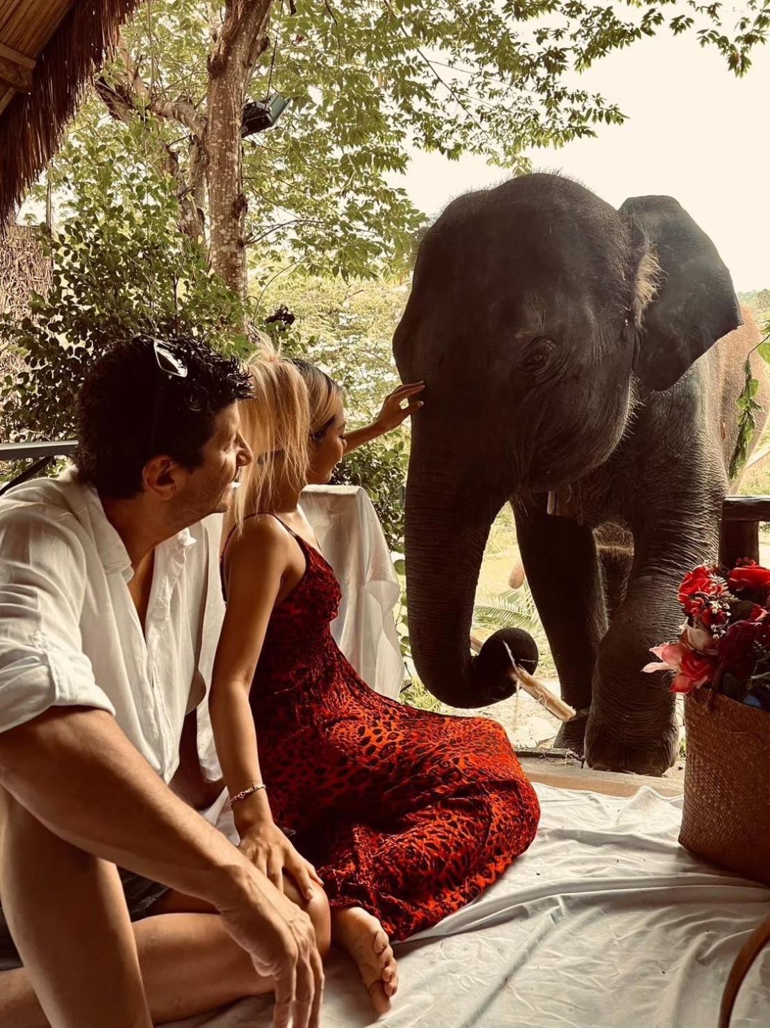3 Pok Maewang Jinxiang Gold Elephant Park Mae Wang Ngoại thất bức ảnh