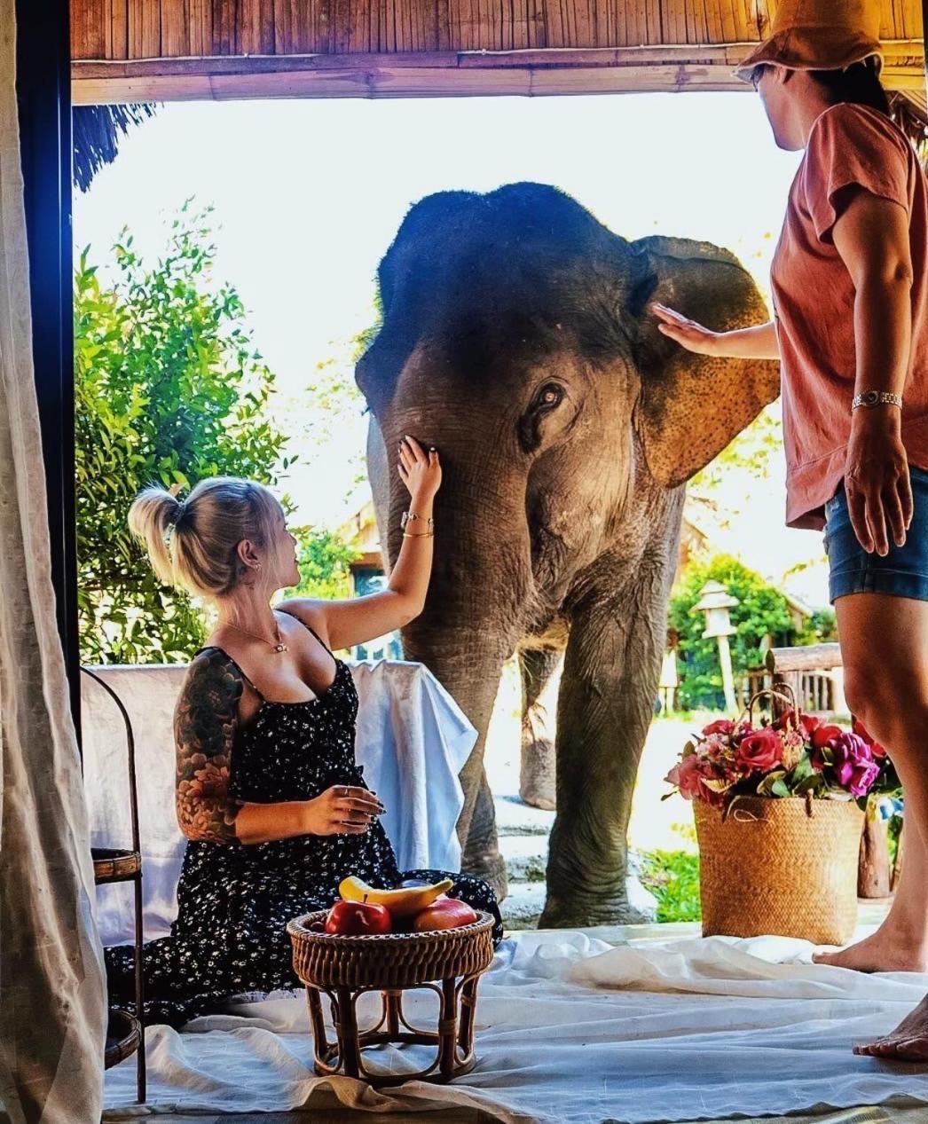 3 Pok Maewang Jinxiang Gold Elephant Park Mae Wang Ngoại thất bức ảnh