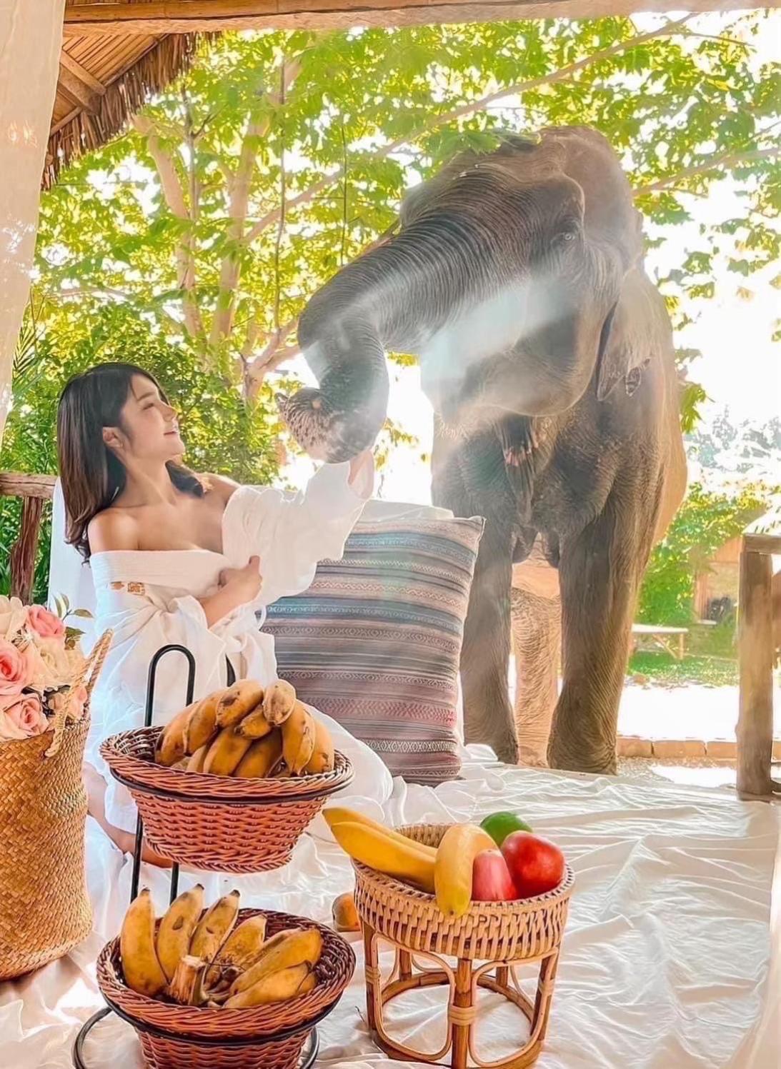 3 Pok Maewang Jinxiang Gold Elephant Park Mae Wang Ngoại thất bức ảnh