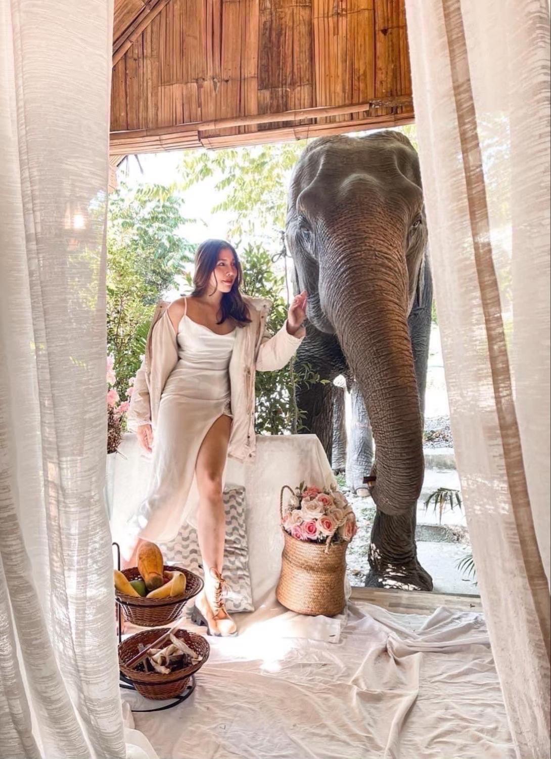 3 Pok Maewang Jinxiang Gold Elephant Park Mae Wang Ngoại thất bức ảnh