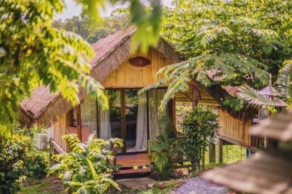 3 Pok Maewang Jinxiang Gold Elephant Park Mae Wang Ngoại thất bức ảnh