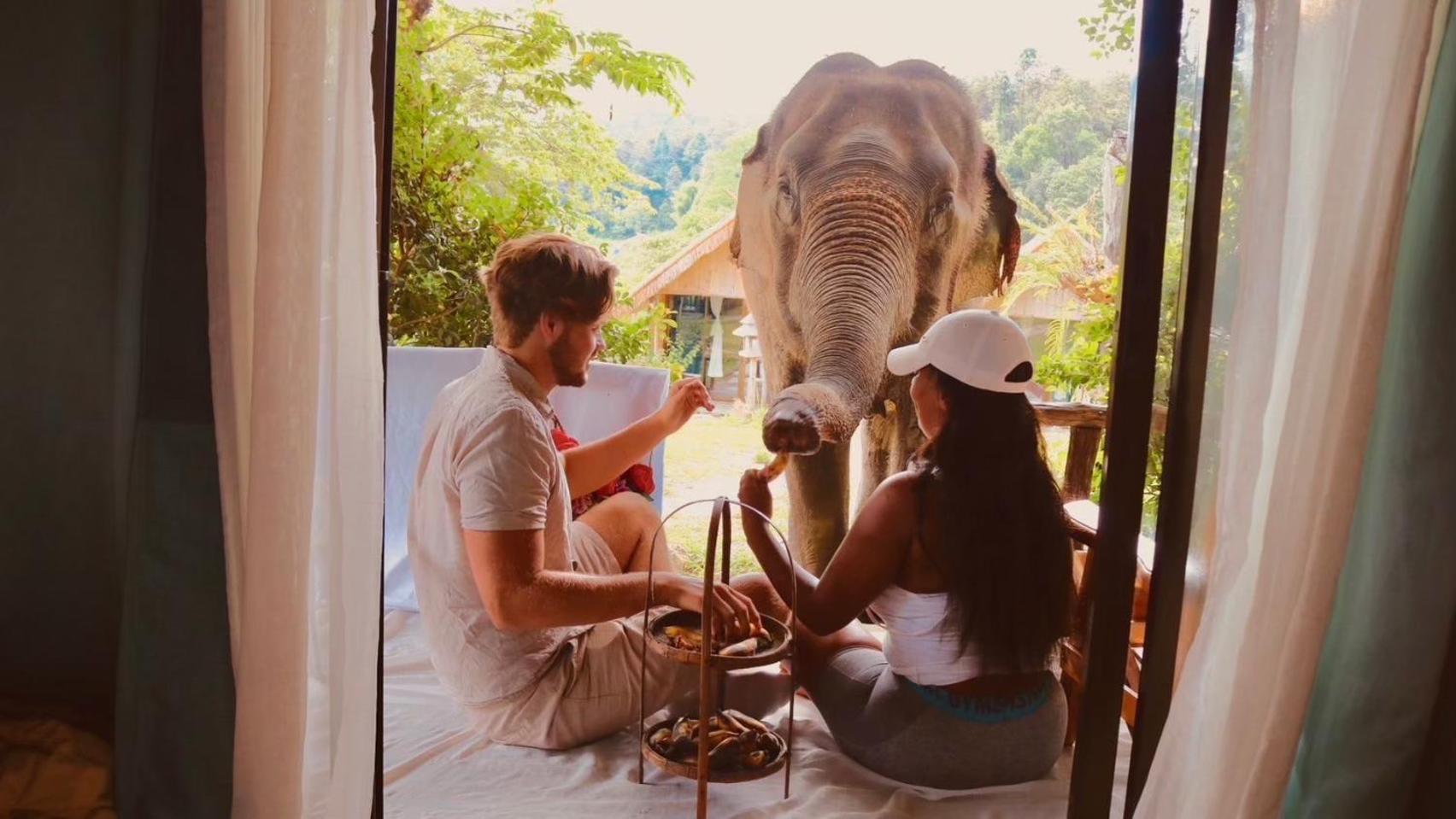 3 Pok Maewang Jinxiang Gold Elephant Park Mae Wang Ngoại thất bức ảnh