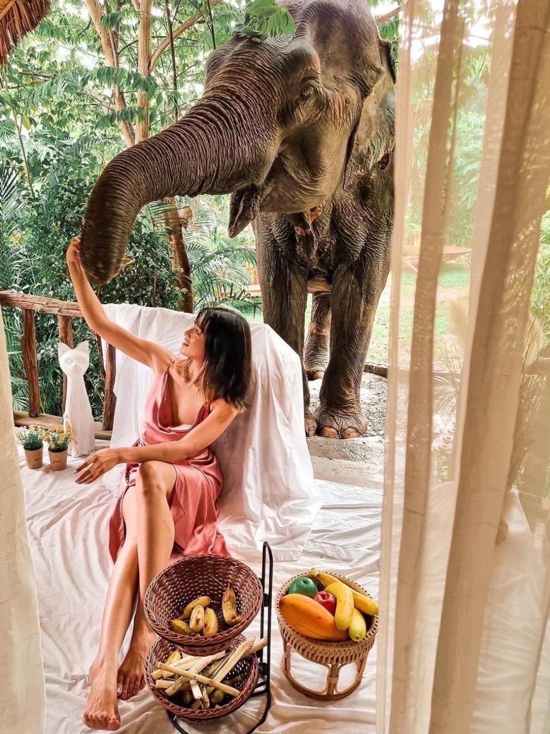 3 Pok Maewang Jinxiang Gold Elephant Park Mae Wang Ngoại thất bức ảnh