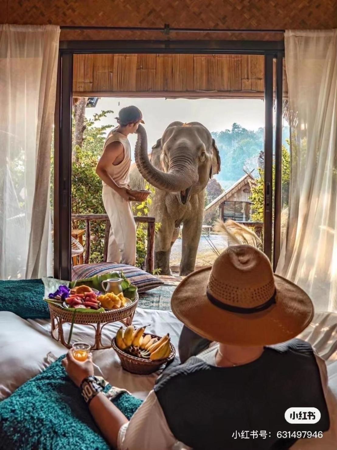 3 Pok Maewang Jinxiang Gold Elephant Park Mae Wang Ngoại thất bức ảnh