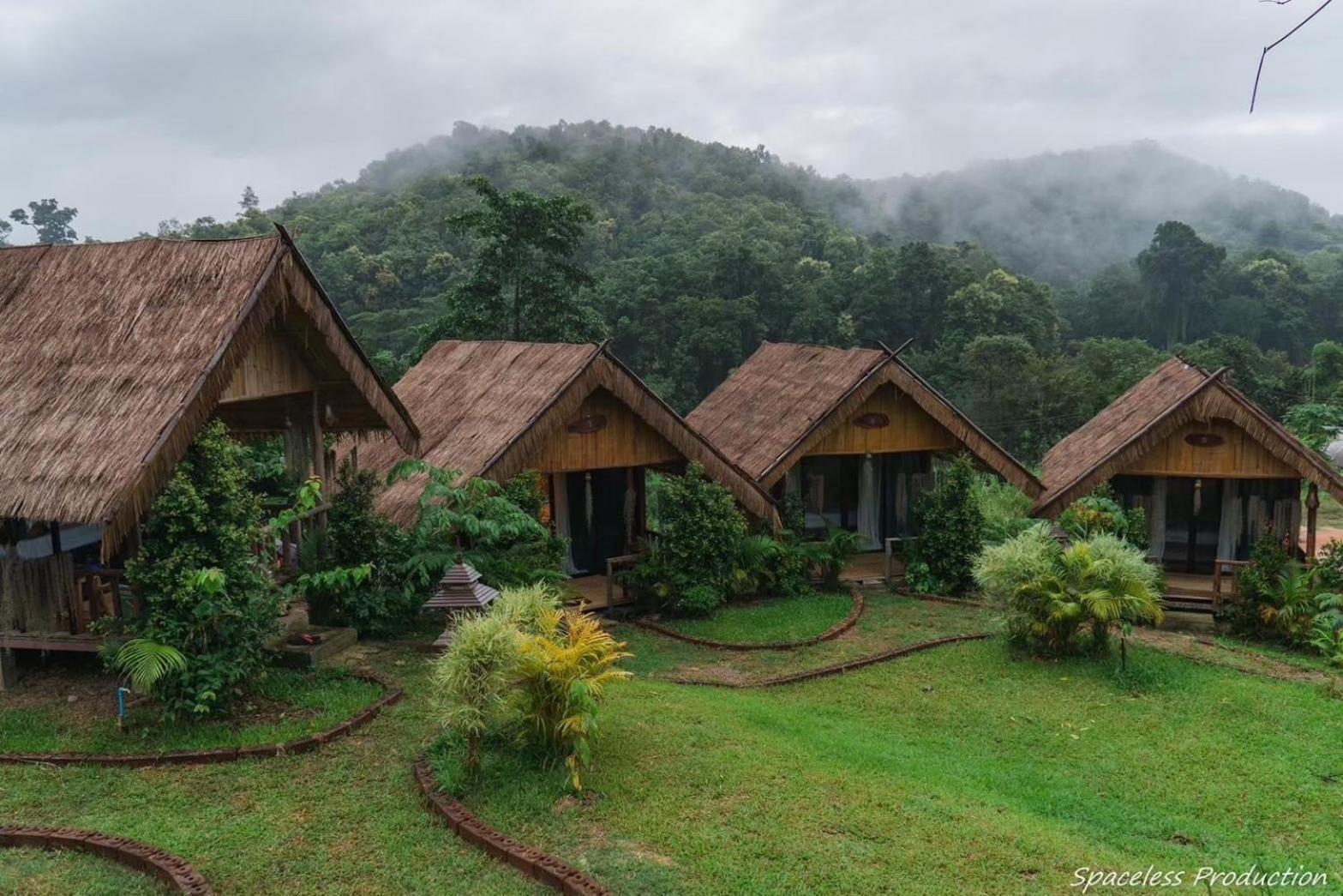 3 Pok Maewang Jinxiang Gold Elephant Park Mae Wang Ngoại thất bức ảnh