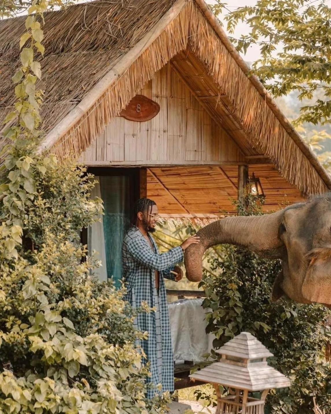 3 Pok Maewang Jinxiang Gold Elephant Park Mae Wang Ngoại thất bức ảnh