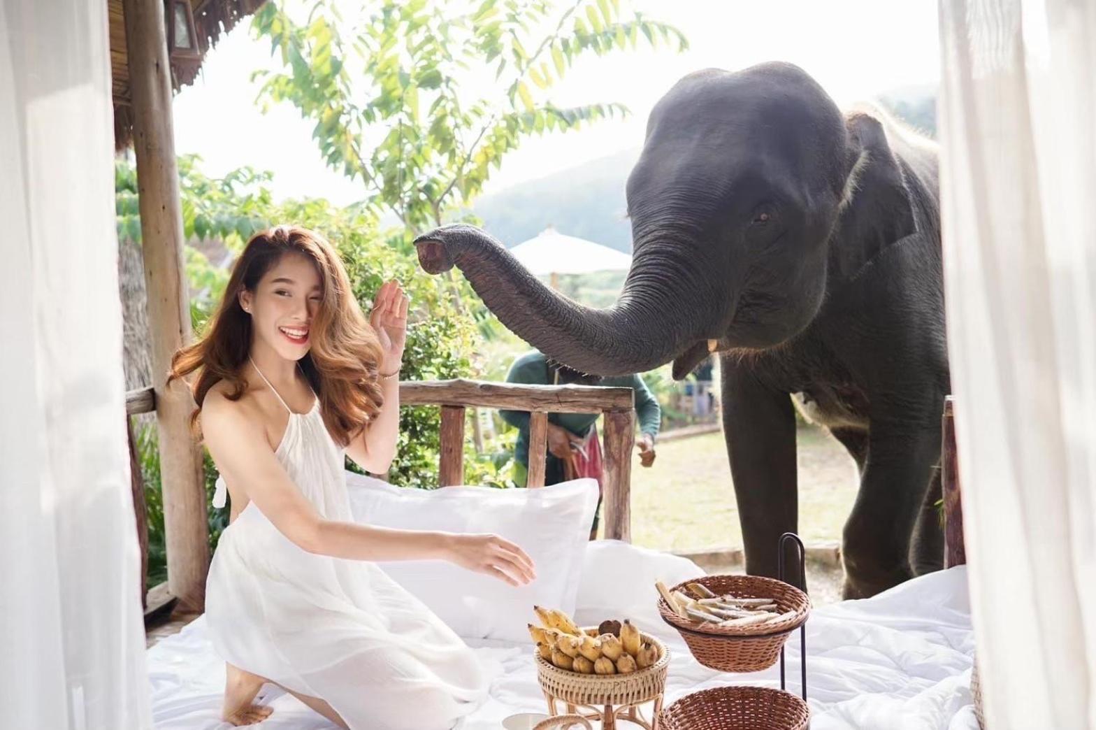 3 Pok Maewang Jinxiang Gold Elephant Park Mae Wang Ngoại thất bức ảnh