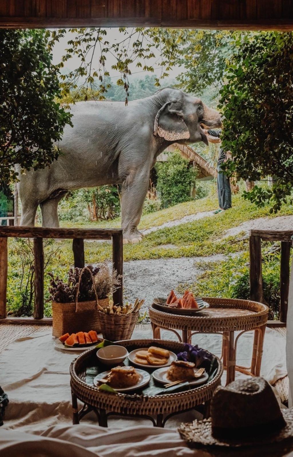 3 Pok Maewang Jinxiang Gold Elephant Park Mae Wang Ngoại thất bức ảnh